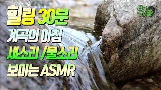 계곡물 흐르는 소리 새소리 보이는 asmr  [터크TV] 힐링영상