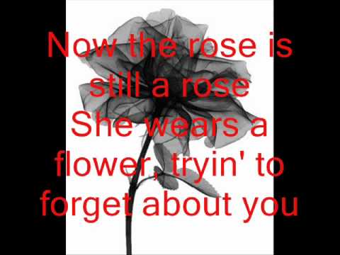 A rose is still a rose Aretha Franklin lyrics