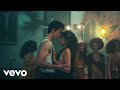 Shawn Mendes Teach Me How To Love Music Video