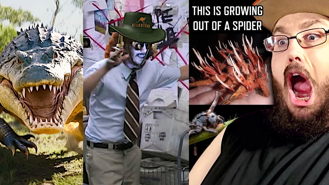 Certified Australia Moments Crocodiles are DINOSAURS & FOUND REAL ZOMBIES! More Parz REACTION!!!