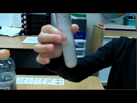 Fun Science Video - Water Cycle and Evaporation