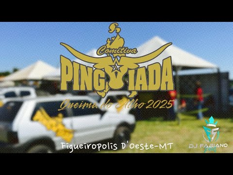 CD COMITIVA PINGAIADA 2025 DJ FABIANO SOARES 