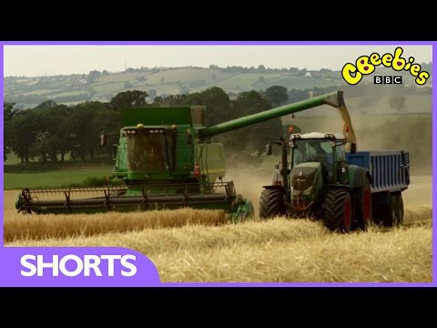 CBeebies: Harvest Time With Down On The Farm