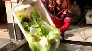 fresh fruit vegetable washing cleaning machine with best prce free video