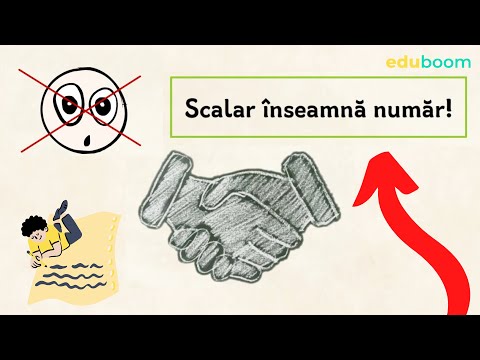 Transpusa unei matrice. Înmulțirea unei matrice cu un scalar M2