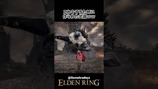新武器レオティエルの正しい使い方がこちらｗｗ #eldenring #エルデンリング