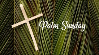 Palm Sunday -- Don't Pick Up Your Coat