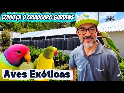 Uma Visita Fantástica ao Criadouro Gardens