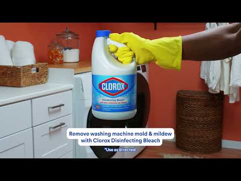 How to Remove Mold and Mildew from the Washing Machine with Clorox