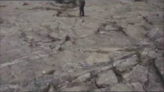 Calogero Clip &quot;La fin de la fin du monde&quot;