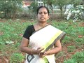 Pon Vilaiyum Bhoomi 05 09 2019 வேளாண் தொழில்நுட்பம்