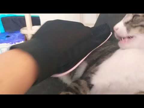 #elsagatuber masajes que incomodan😾🤲🧖🏻‍♀️