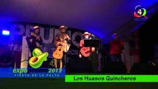 preview picture of video 'EXPO PEUMO 2012 - Los Huasos Quincheros'
