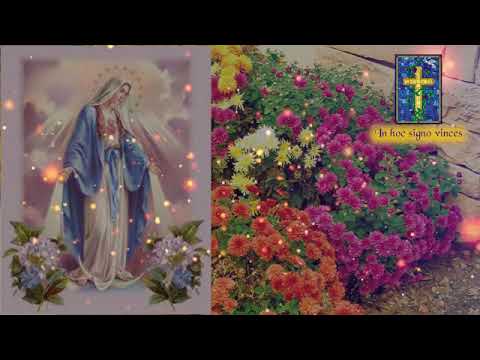 Suwanda Jale Pipi Kumudiniye | සුවඳ ජලේ පිපි කුමුදිනියේ | සිංහල ගීතිකා | Sinhala Geethika