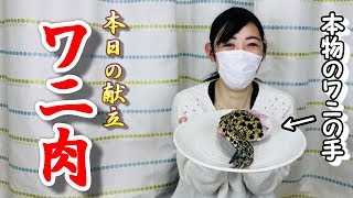 ワニ肉をお兄ちゃんに食べさせてみた