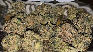 RS-11 Strain Review