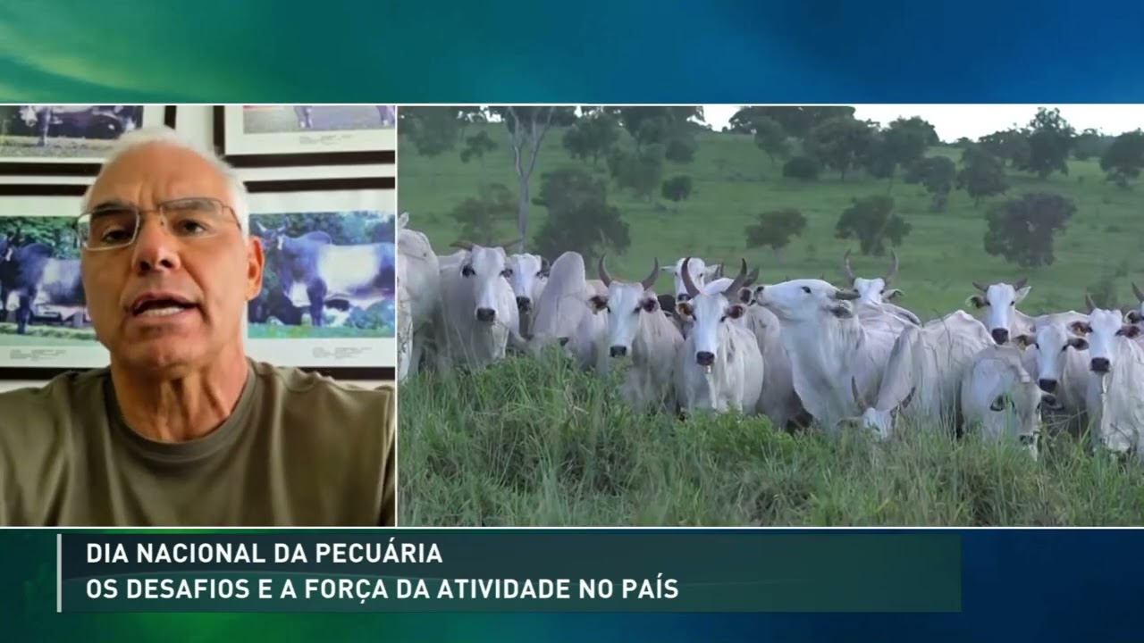 Dia Nacional da Pecuária: como produtores enfrentam oscilações do mercado
