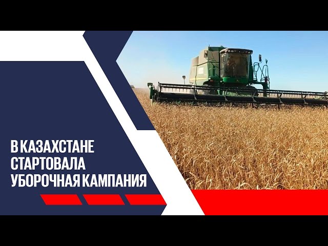 Главные новости 15.08.2025 г.