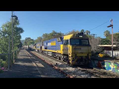 #NR100, #NR43 & #AN1 leads 6MP5 through Hawthorn