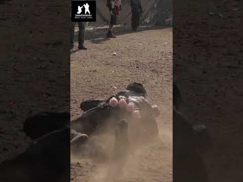 Diving Into The Dust!