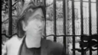 Alice Donut - Medication video