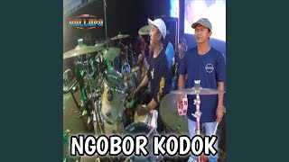 Download lagu Ngobor Kodok mp3 Download lagu Ngobor Kodok mp3