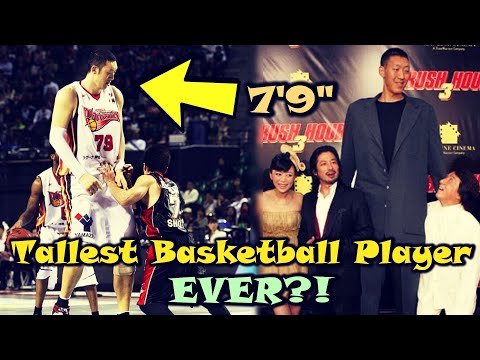The Story Of A Basketball GIANT: Sun Mingming