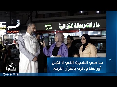 شاهد بالفيديو.. ما هي الشجرة التي لا تذبل أوراقها وذكرت بالقرآن الكريم
