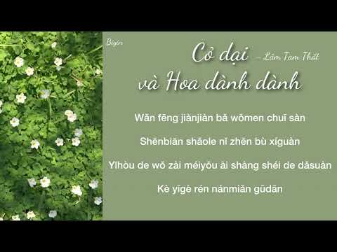 [Karaoke] Cỏ dại và hoa dành dành - Lâm Tam Thất | 野草与栀子花 - 林三七