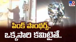 పింక్ పాంథర్స్..ఒక్కసారి కమిటైతే..| International diamond and art thieves: The Pink Panthers - TV9
