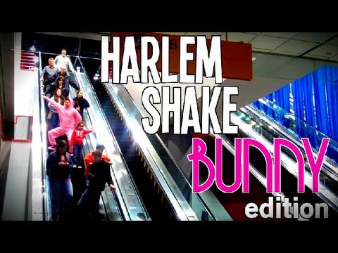 Harlem Shake - (Bunny Edition)