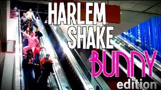 Harlem Shake - (Bunny Edition)
