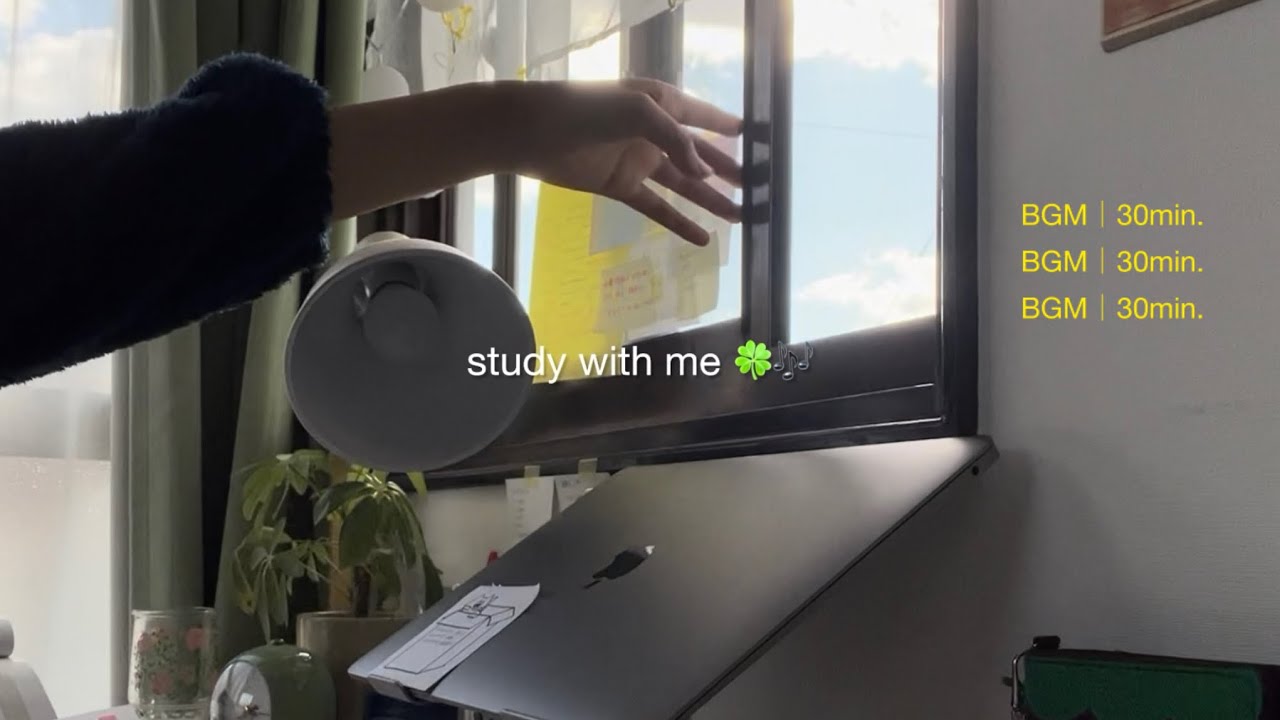 study with me🍀BGMと夕陽をお供に勉強しよう♩