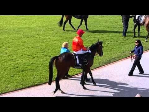 Belmont Park, 07/05/2016 - Race 4 - SENSO - Paul Jordan & Aaron Mitchell