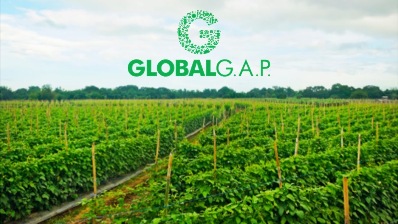 TUV India Global GAP Certification