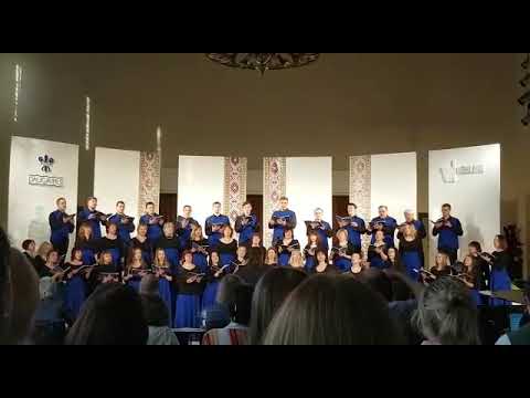 Pēteris Plakidis, Vizma Belševica Tavas saknes tavā zemē