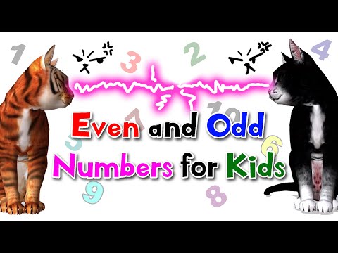 Even and Odd Numbers for Kids | 1st-2nd Grade | Noodle Kidz