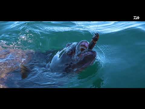 DAIWA: Reiseruten für Norwegen  und Co. | Tipps von Tim Jaschke