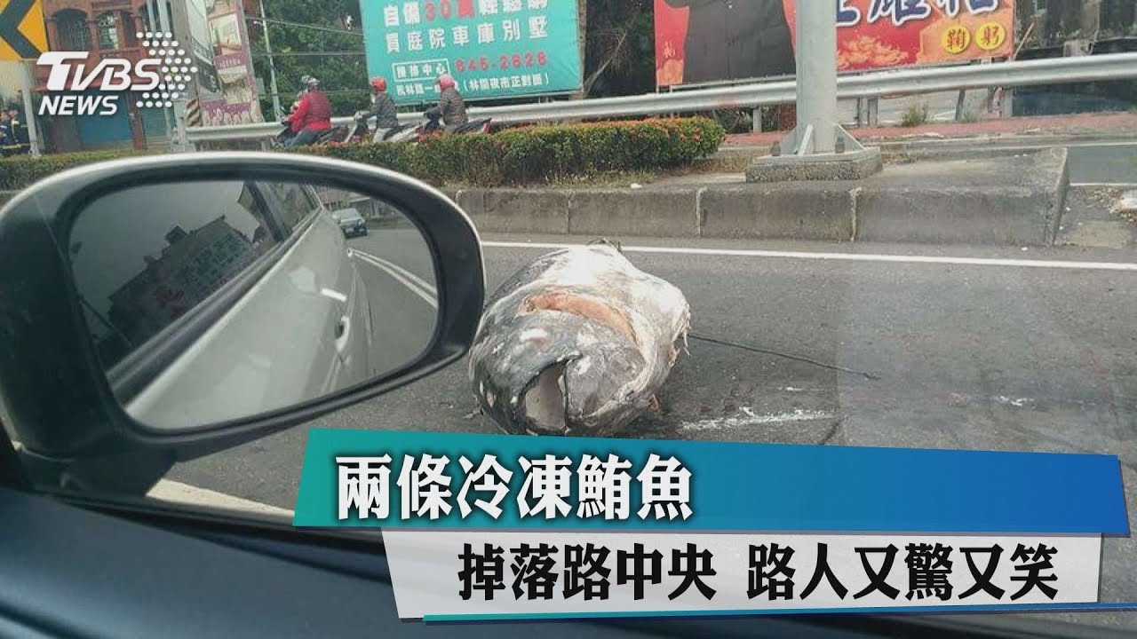 2條冷凍鮪魚掉落路中央 路人又驚又笑