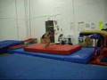 Gymnastics Shelly