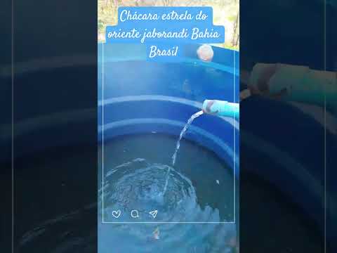 chácara estrela do oriente jaborandi Bahia Brasil