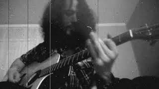 Blind Willie mcTell cover you was born to die