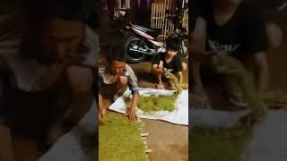Download lagu Laep Tak Punya Rokok😂 mp3
