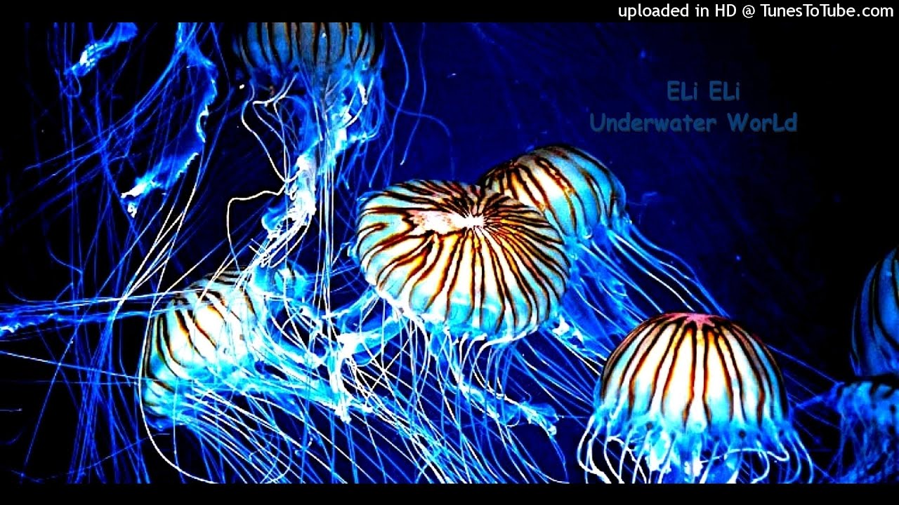 ELi ELi - Undrwater WorLd