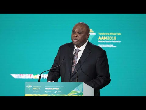 Afreximbank balance sheet grows to $44 billion as president exits
