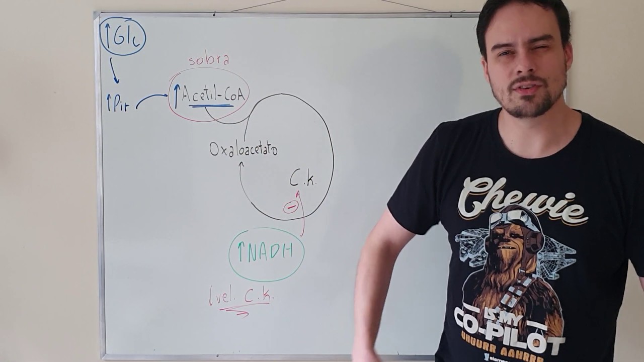 Síntese de Colesterol