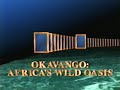 National Geographic World S Last Great Places Okavango Africa S Wild Oasis 1996