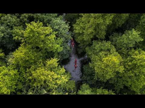 50km by paddleboat on the Spree River | 3-day bivouac