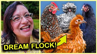 These FUN Chicken Breeds Might Be Perfect for YOU! (Choose Wisely)