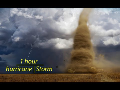 Sounds for Sleeping | Tornado | 1 Hour | Dark Screen in 1 Hour | Wind Ambiance 0469